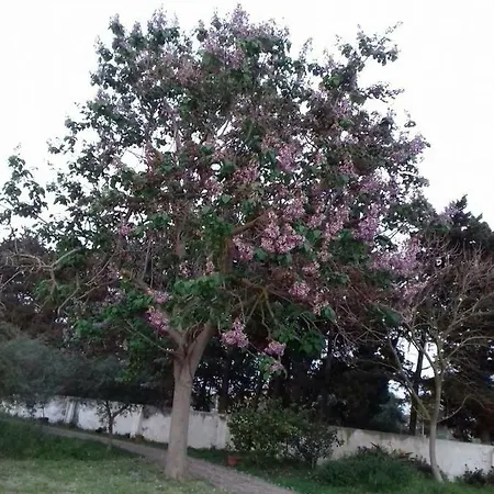 Mulino Bonacasa